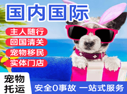 南阳姜营空运地址国际宠物托运 【国